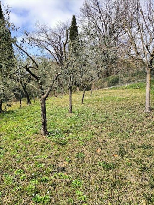 شقة Locazione Turistica La Gesualda كاستيلنوفو ماغرا المظهر الخارجي الصورة